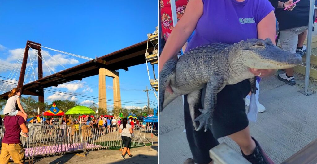 The Alligator Festival